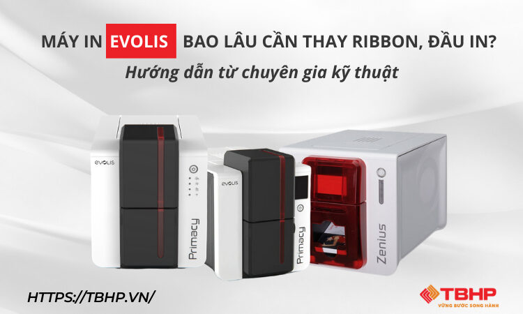 Máy in Evolis bao lâu thì cần thay ribbon, đầu in? Hướng dẫn từ chuyên gia kỹ thuật
