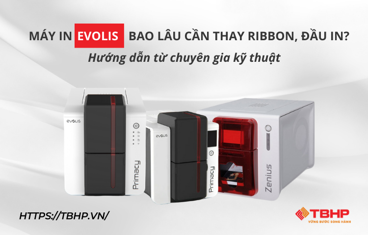 Máy in Evolis bao lâu thì cần thay ribbon, đầu in?